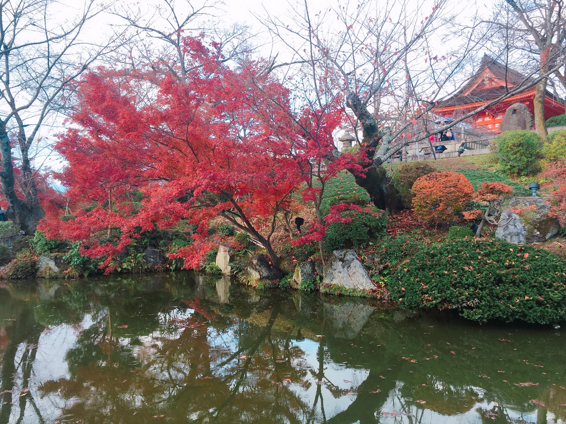 京都自助遊攻略