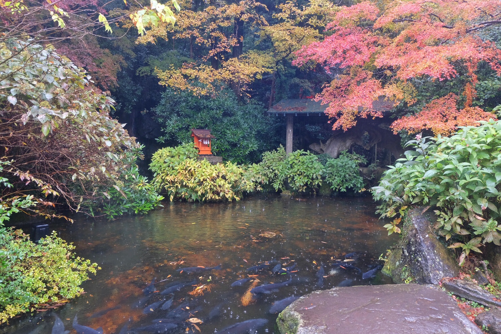 東京自助遊攻略