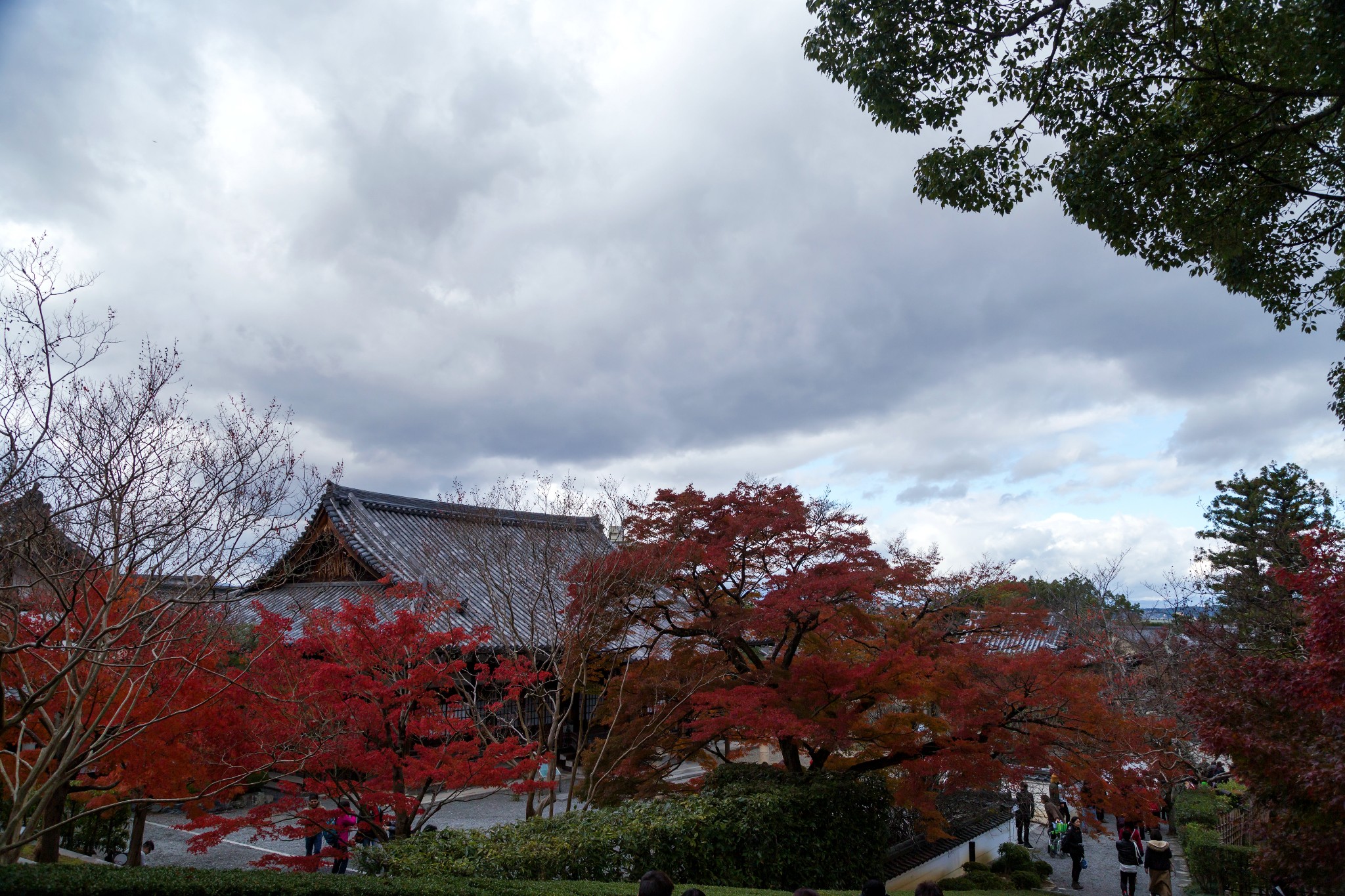 京都自助遊攻略