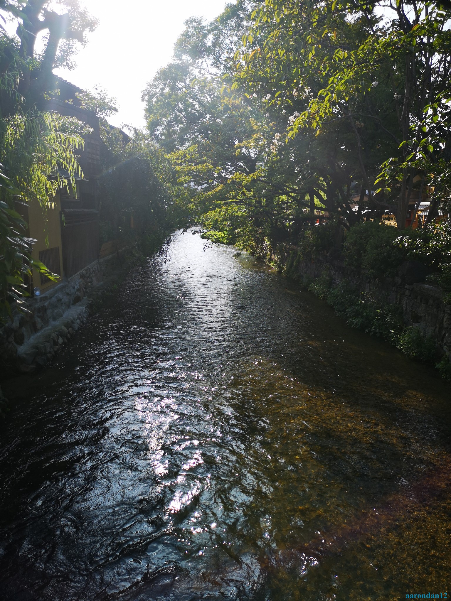 京都自助遊攻略