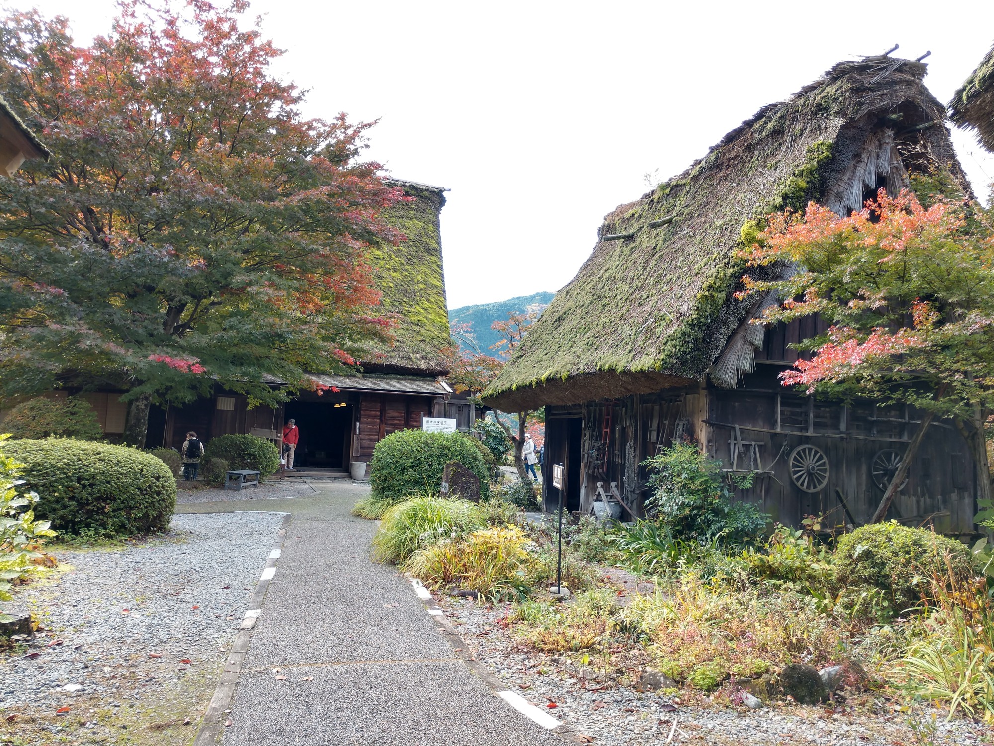 名古屋自助遊攻略