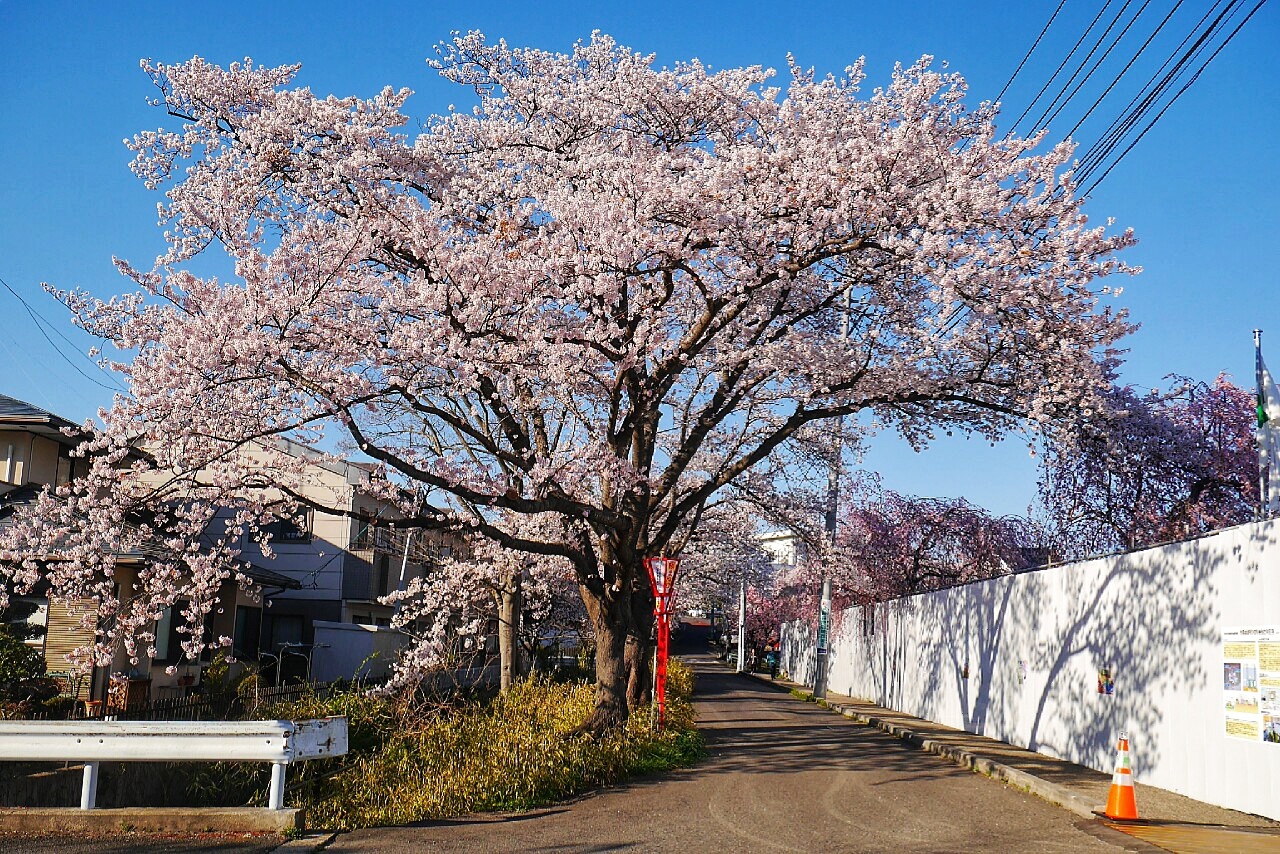 福島市自助遊攻略