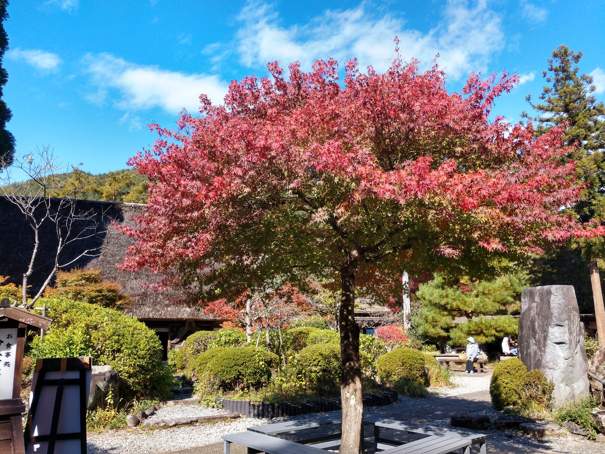 名古屋自助遊攻略