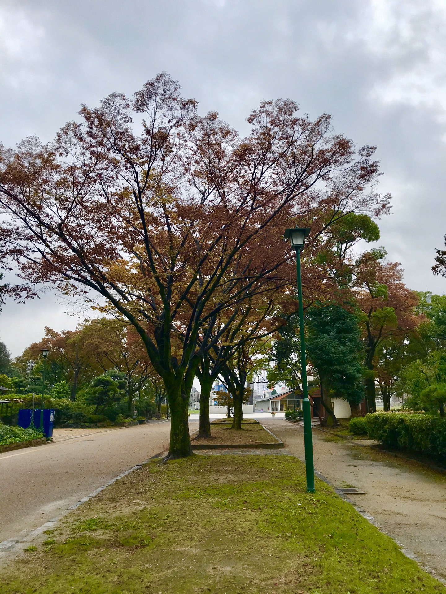 名古屋· 鹤舞公园