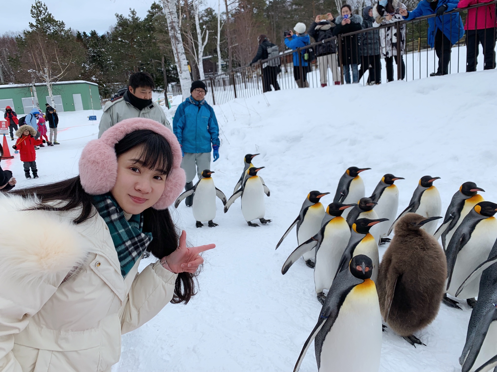 北海道自助遊攻略