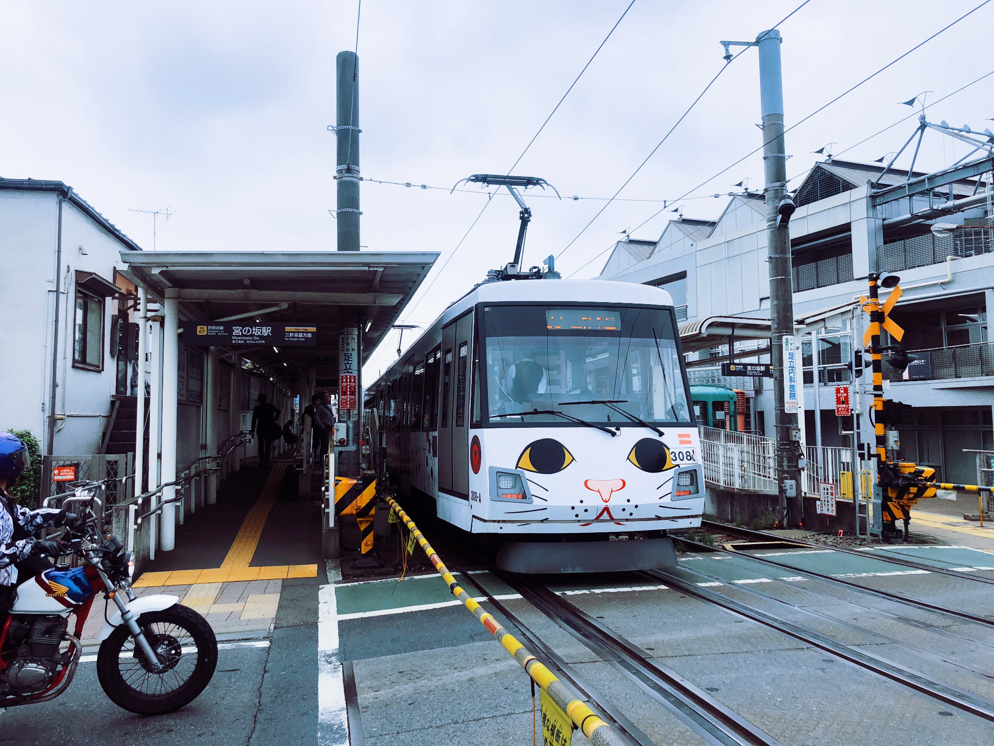 東京自助遊攻略