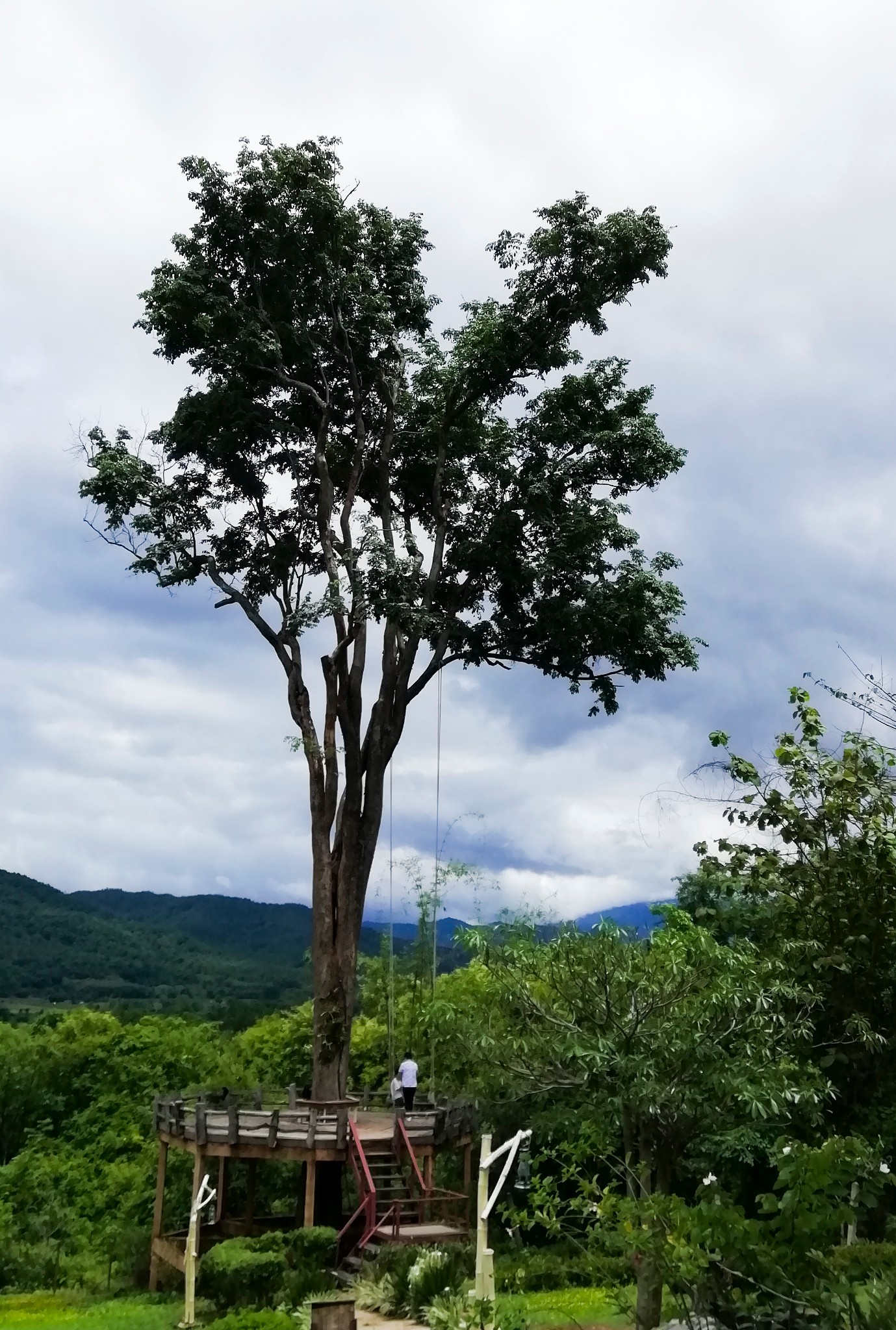 泰國自助遊攻略