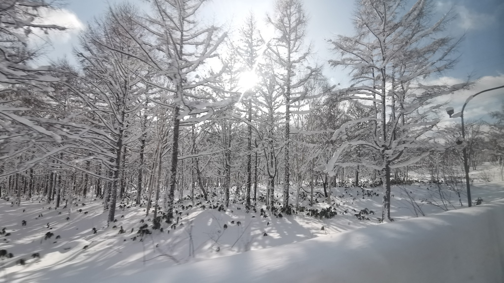 北海道自助遊攻略