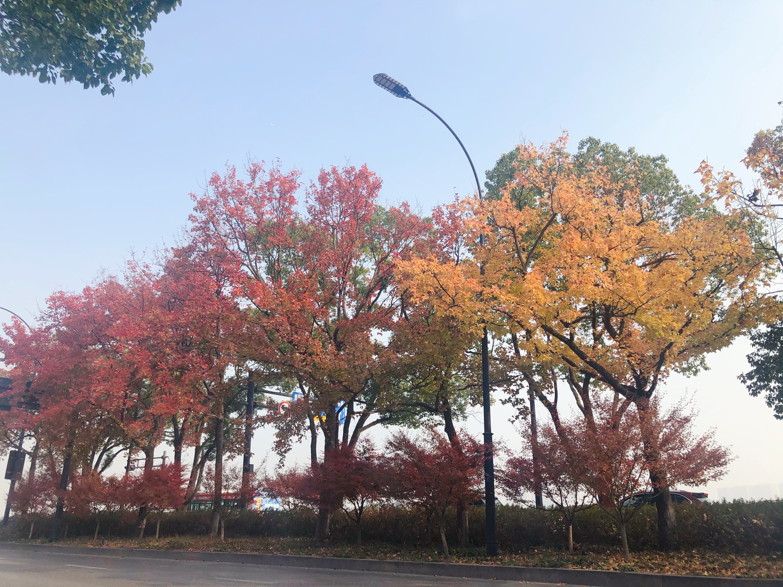 大清谷山湾里烧烤农庄