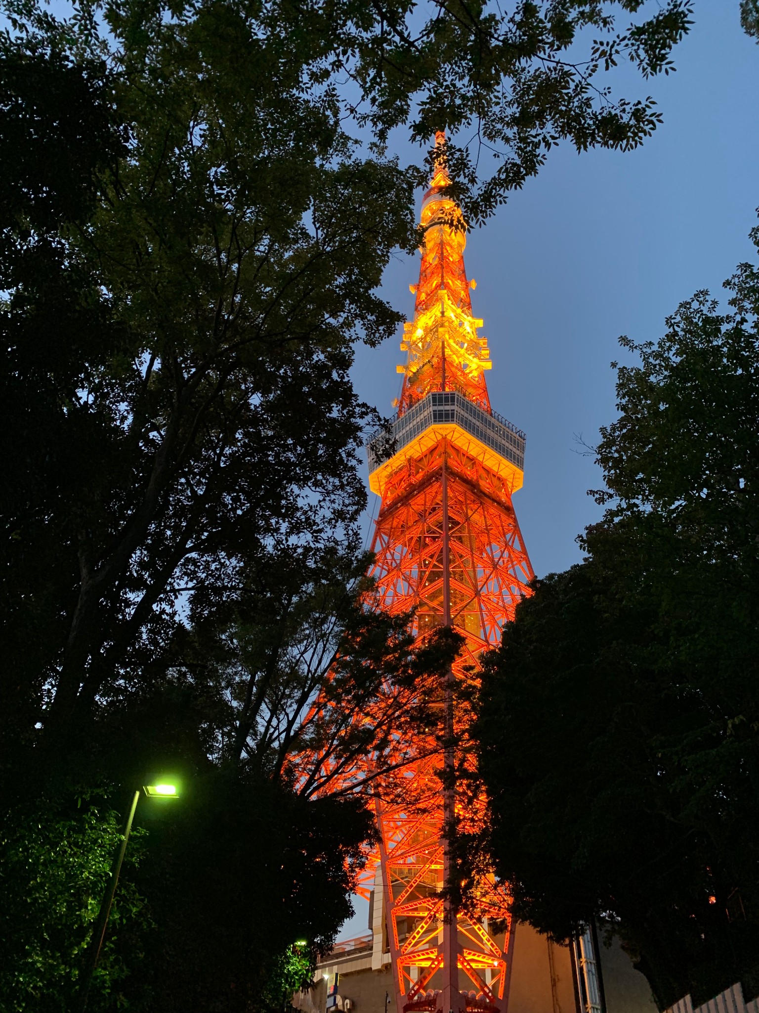 東京自助遊攻略