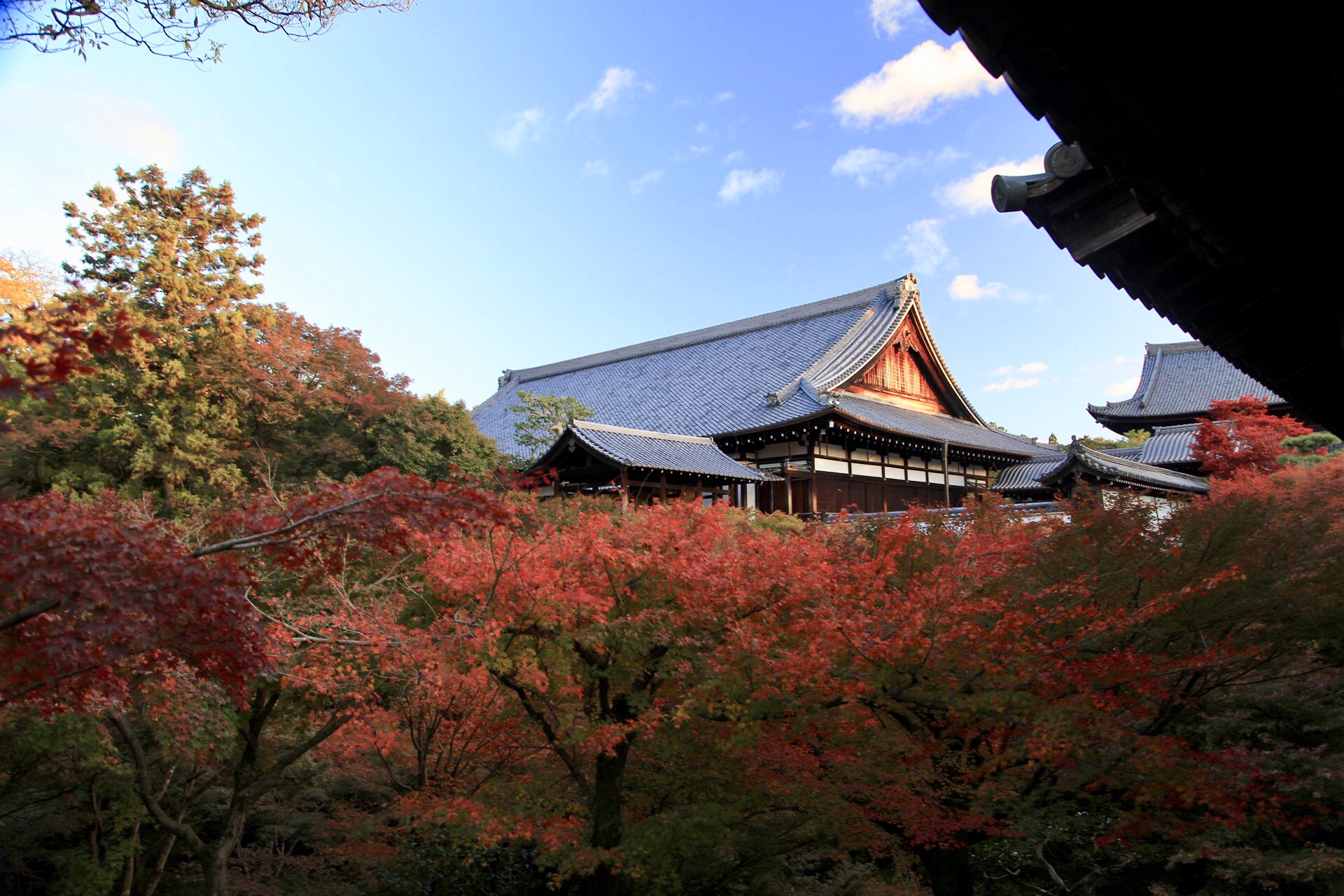 京都自助遊攻略