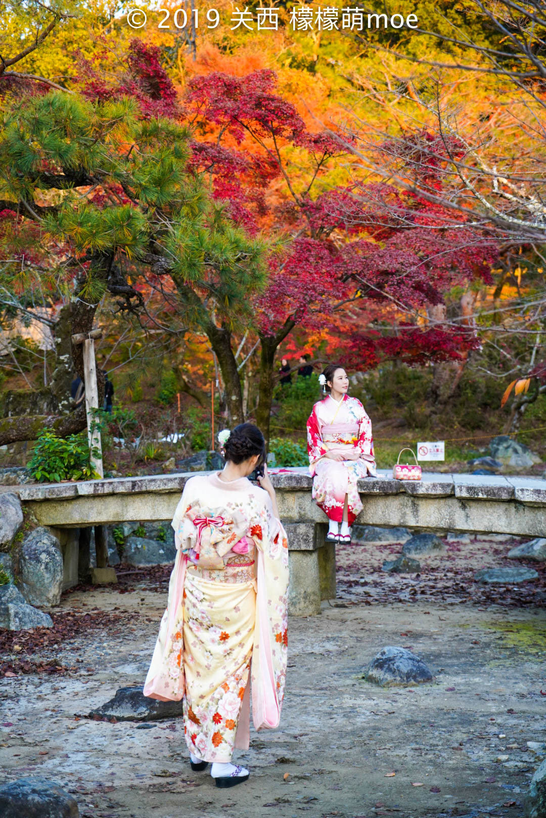 京都自助遊攻略