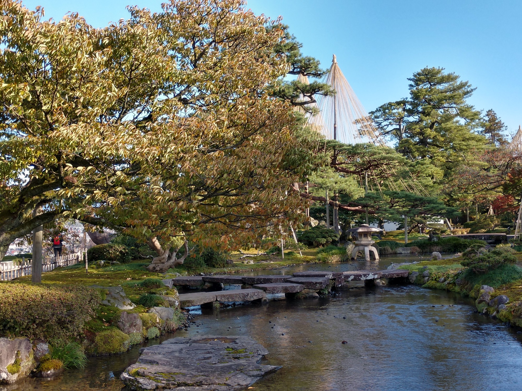 名古屋自助遊攻略