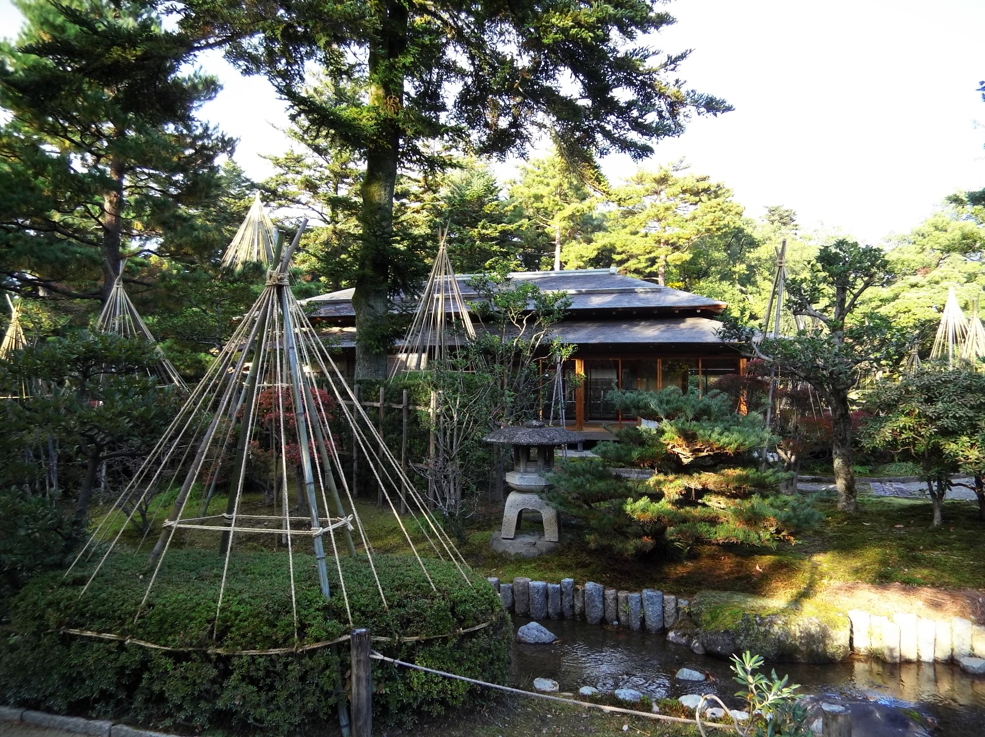 名古屋自助遊攻略