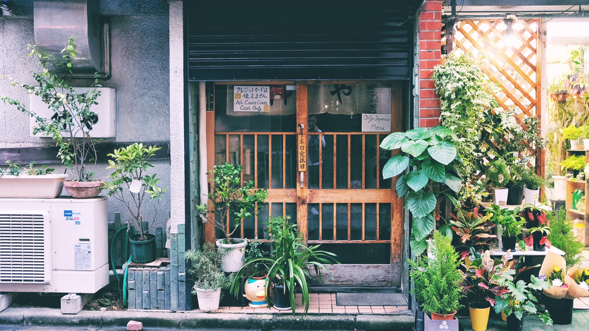 東京自助遊攻略