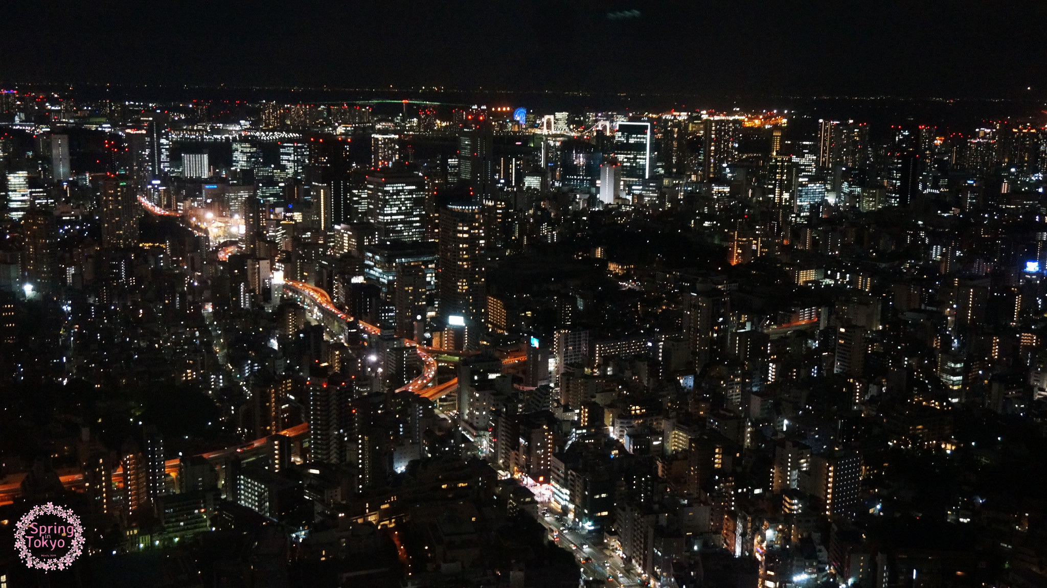 東京自助遊攻略