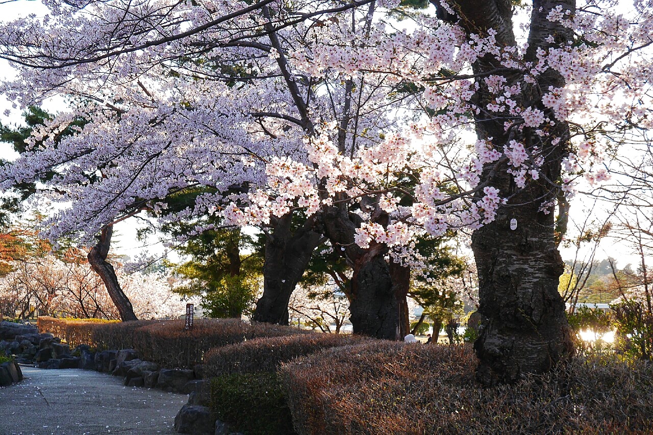 福島市自助遊攻略