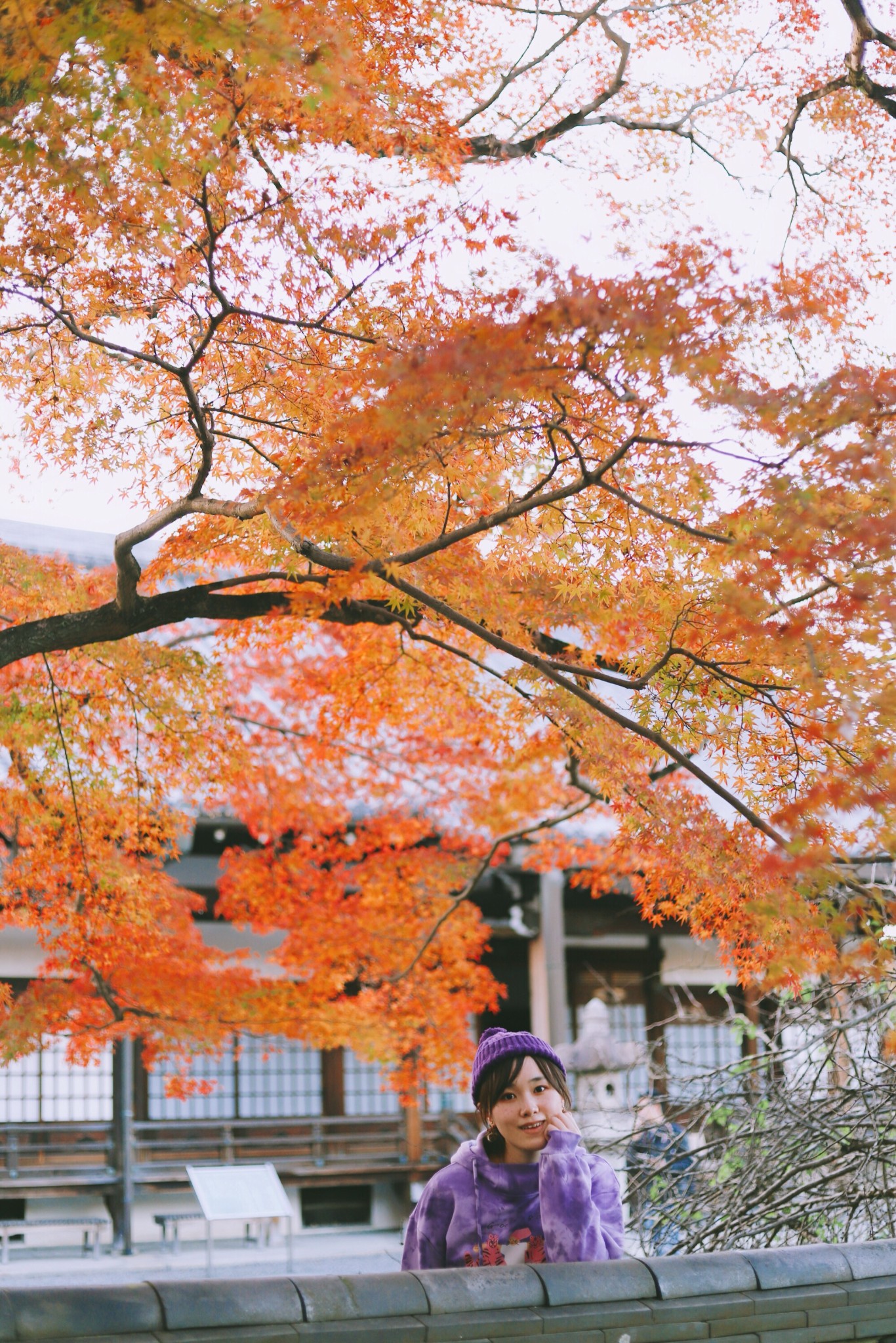 京都自助遊攻略