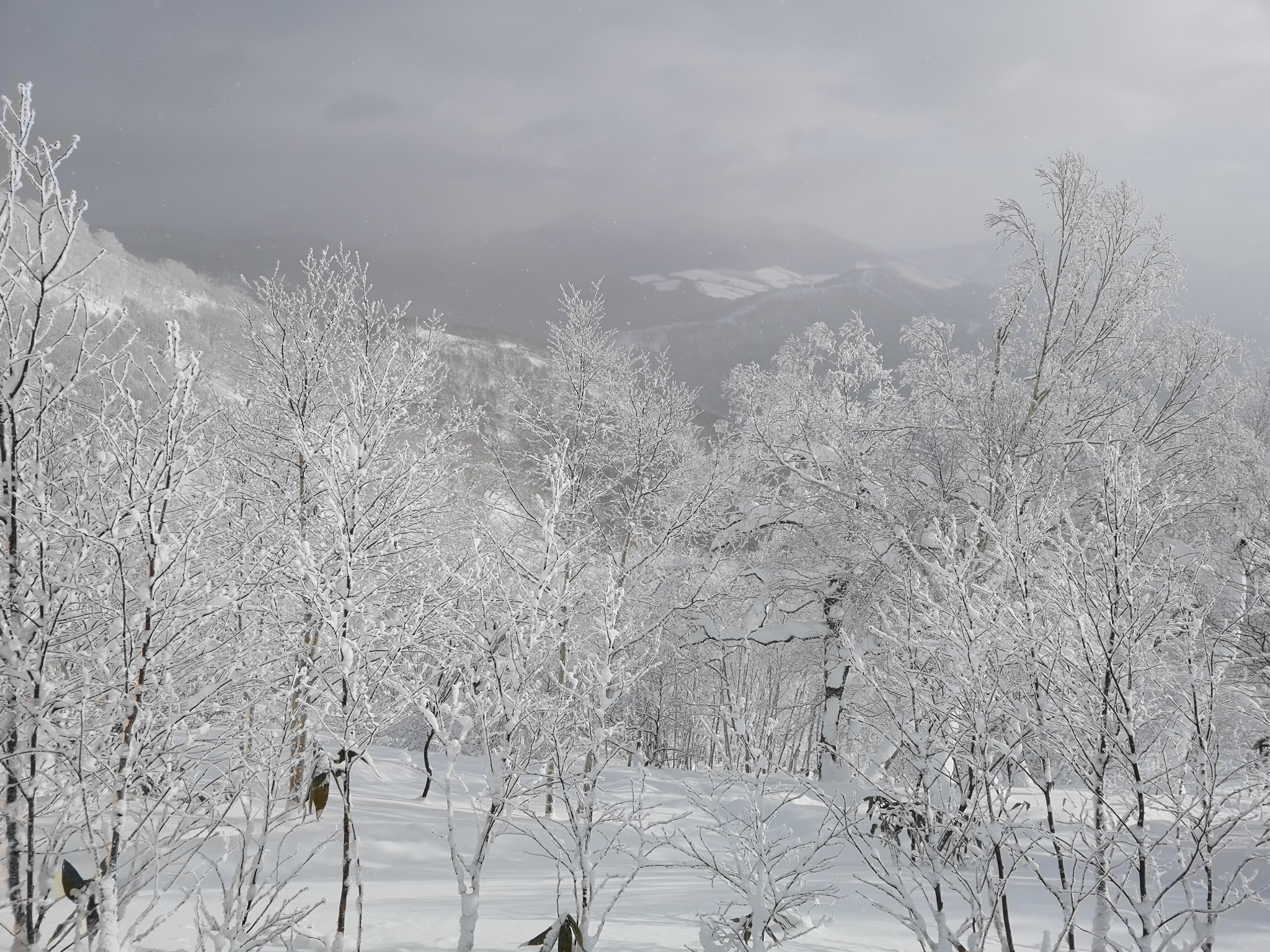 北海道自助遊攻略