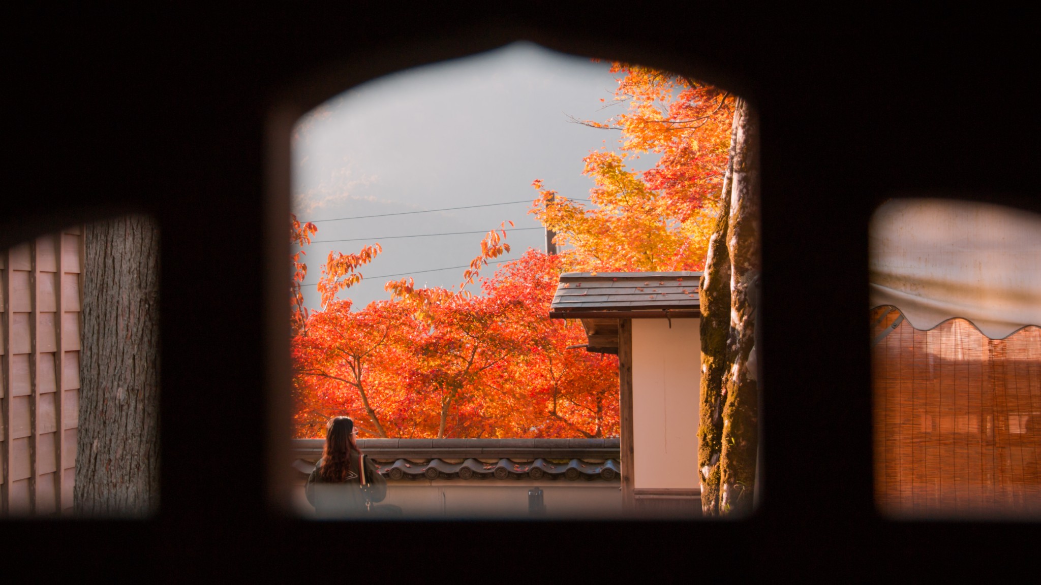 京都自助遊攻略