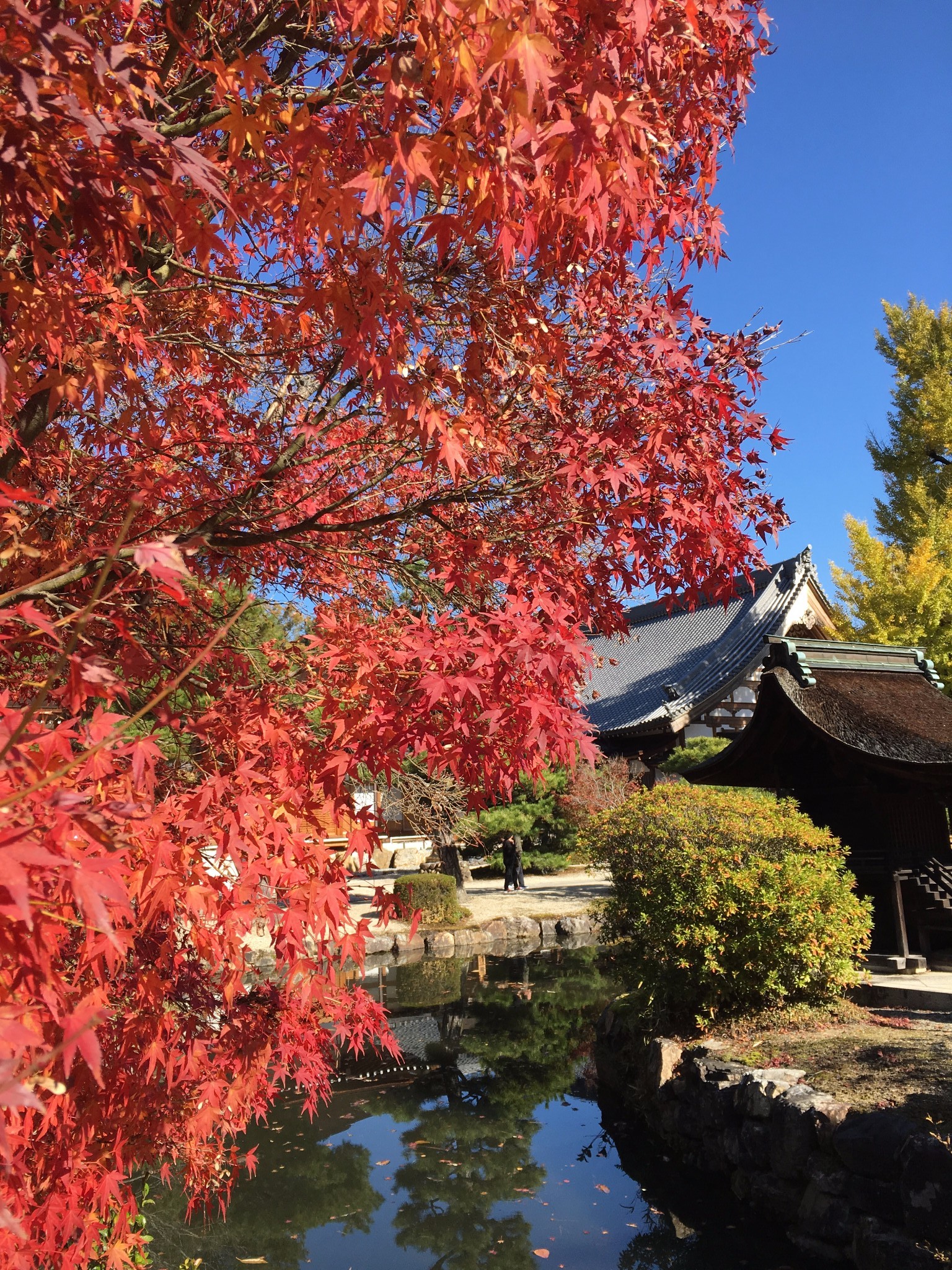 名古屋自助遊攻略