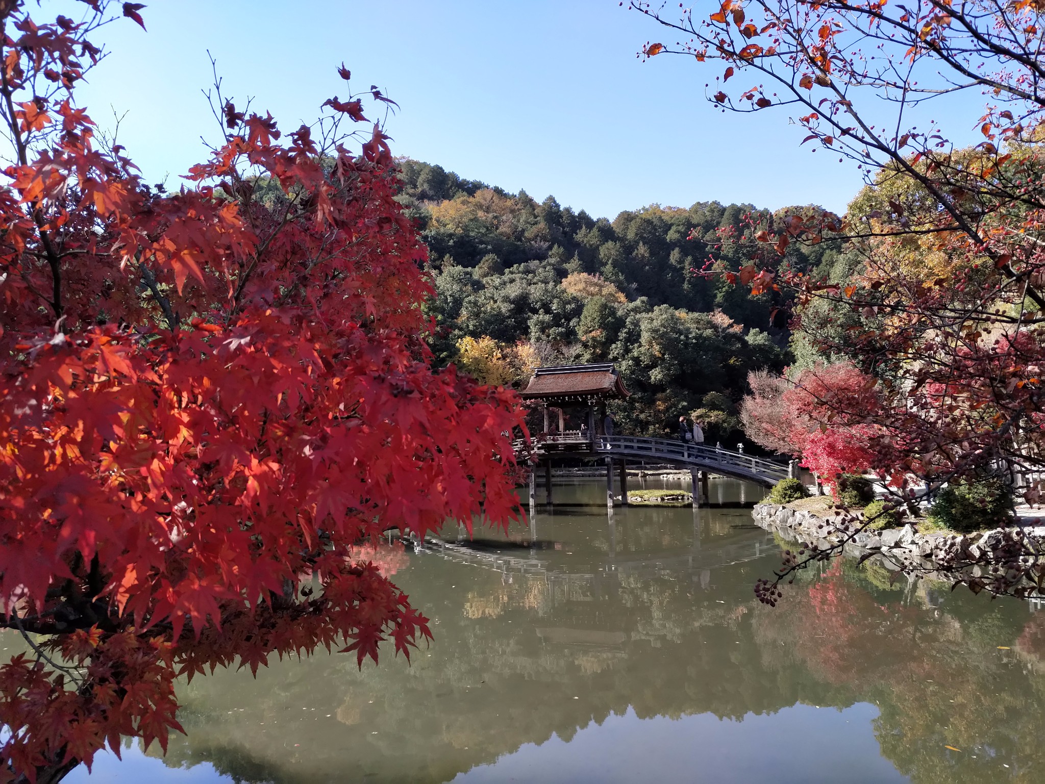 名古屋自助遊攻略