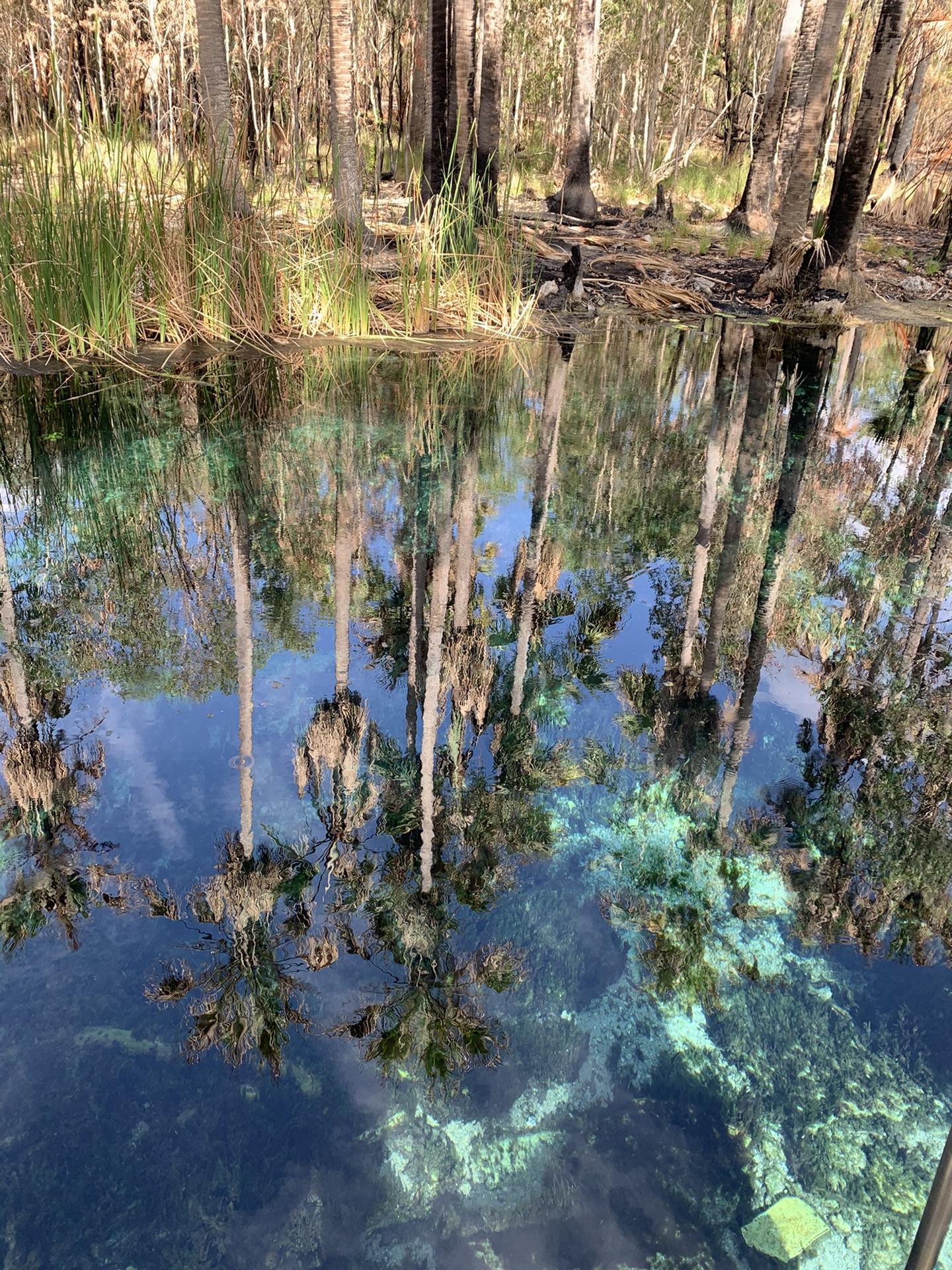 烏魯魯—卡塔丘塔國家公園自助遊攻略