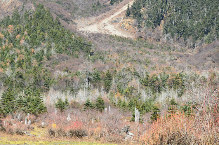 麗江自助遊攻略