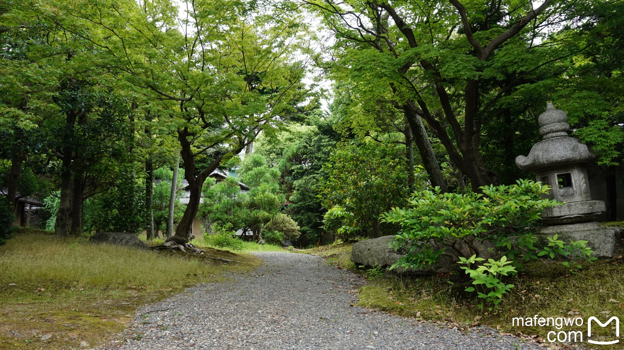 京都自助遊攻略