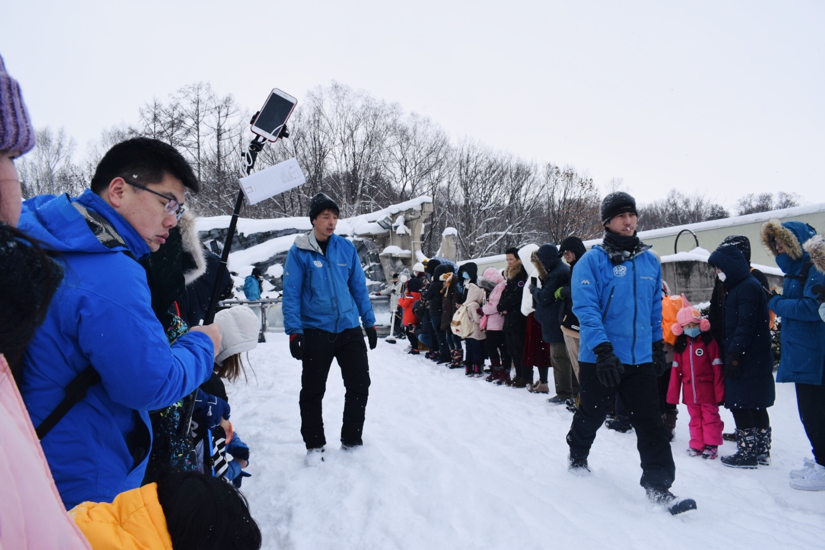 北海道自助遊攻略