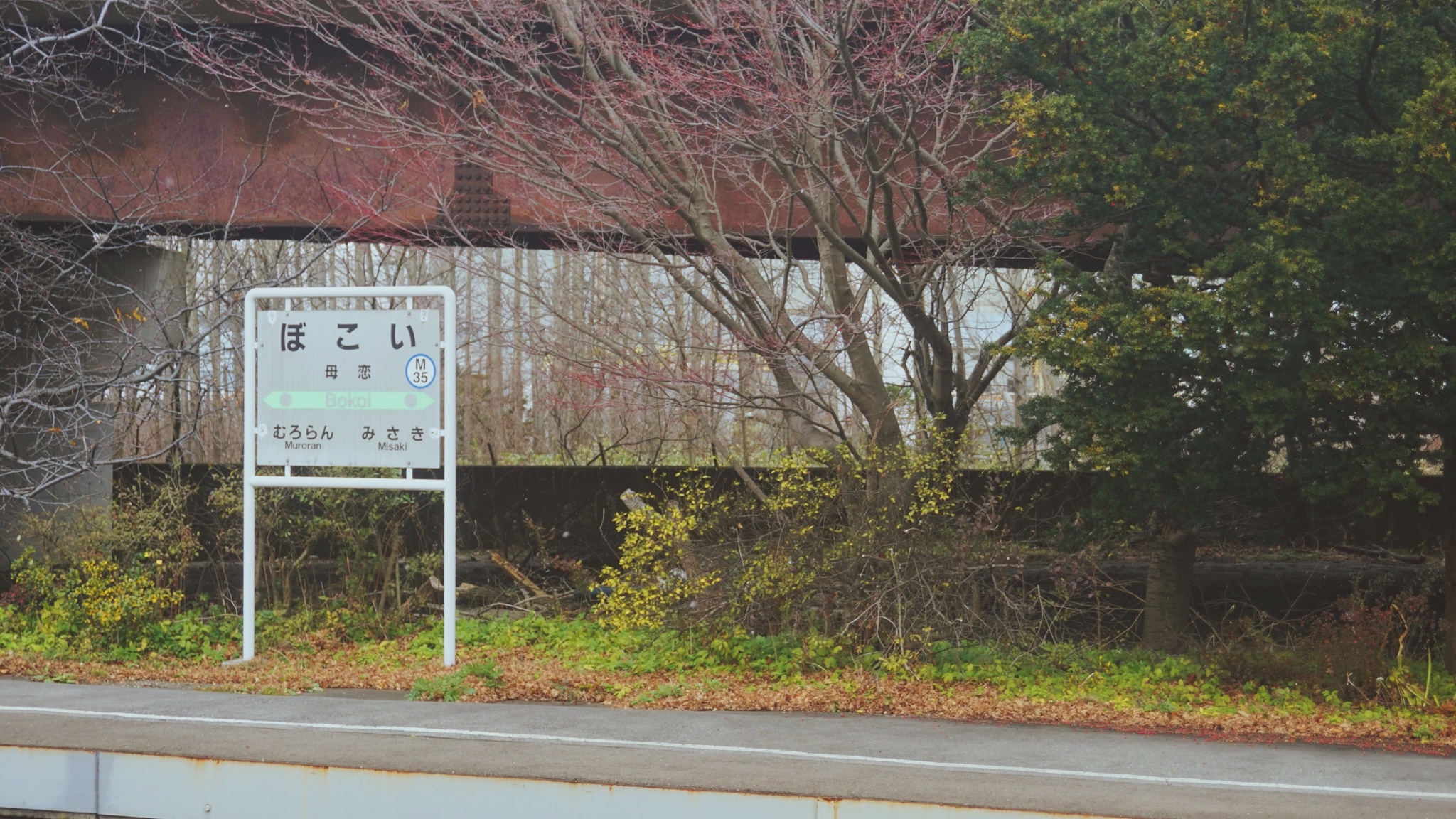 北海道自助遊攻略