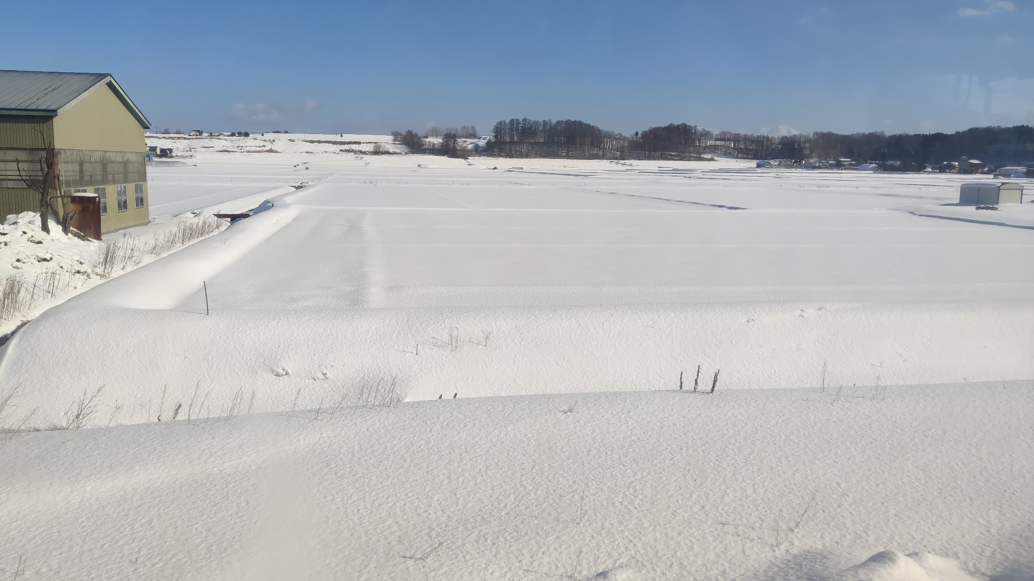 北海道自助遊攻略