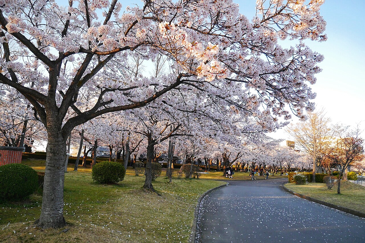 福島市自助遊攻略