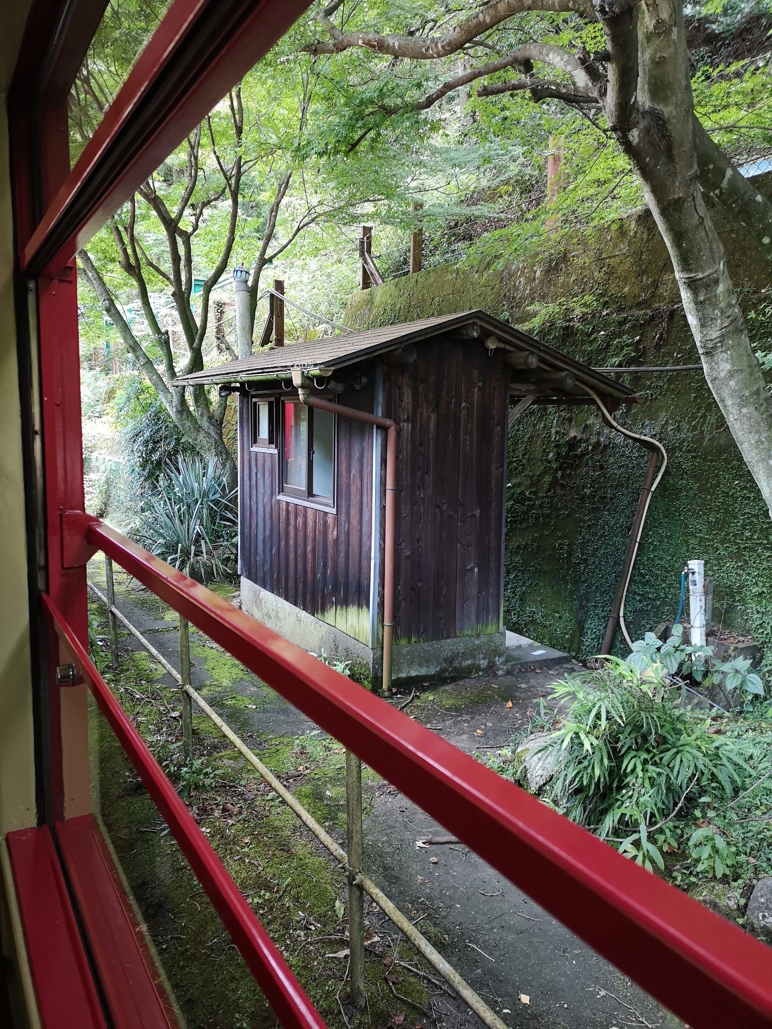 京都自助遊攻略