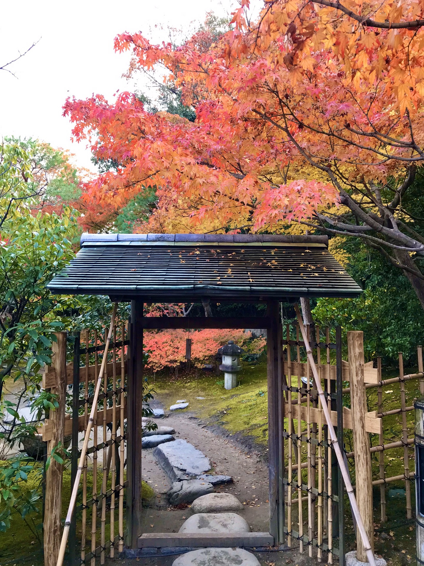 名古屋自助遊攻略