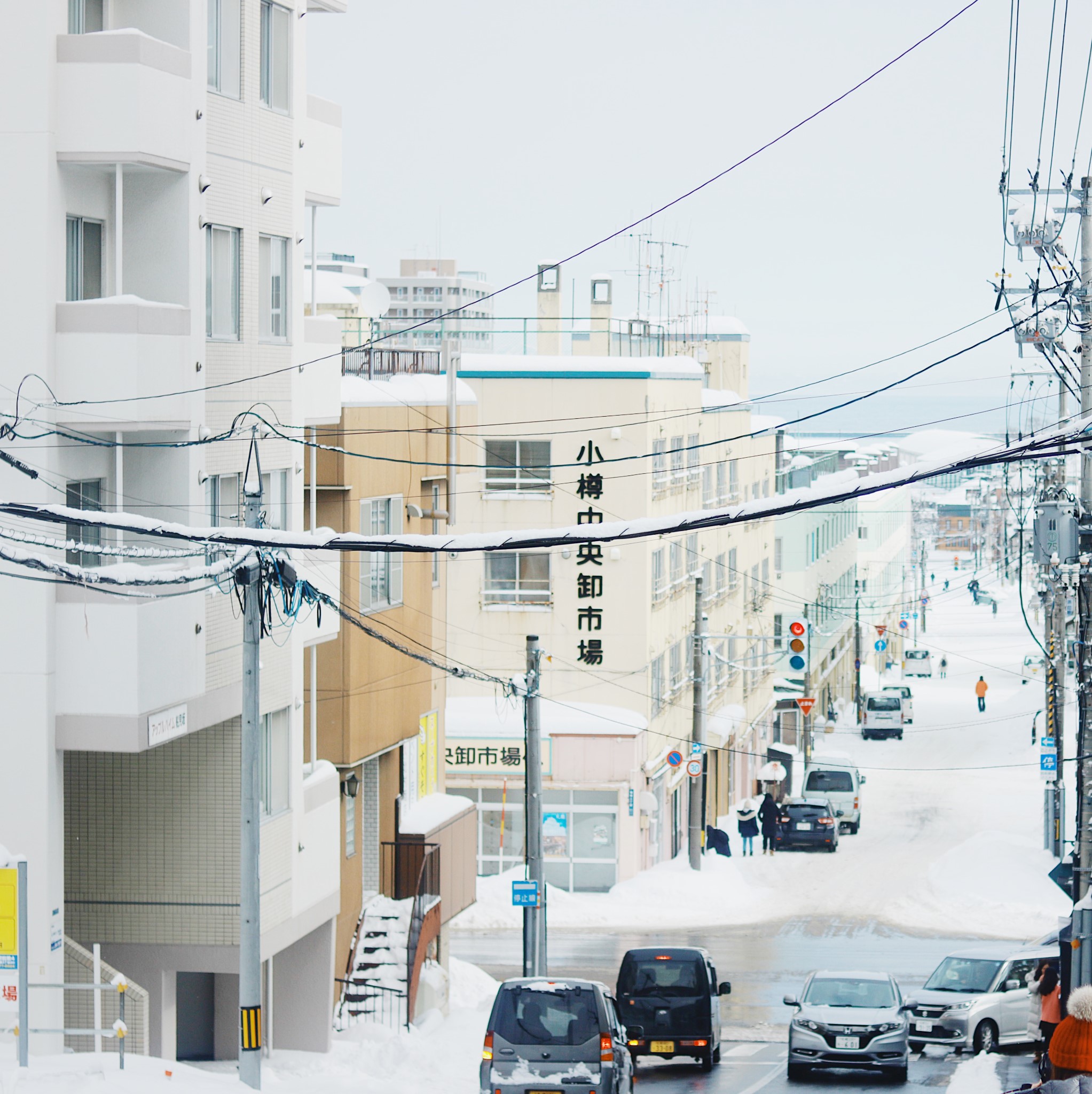 北海道自助遊攻略