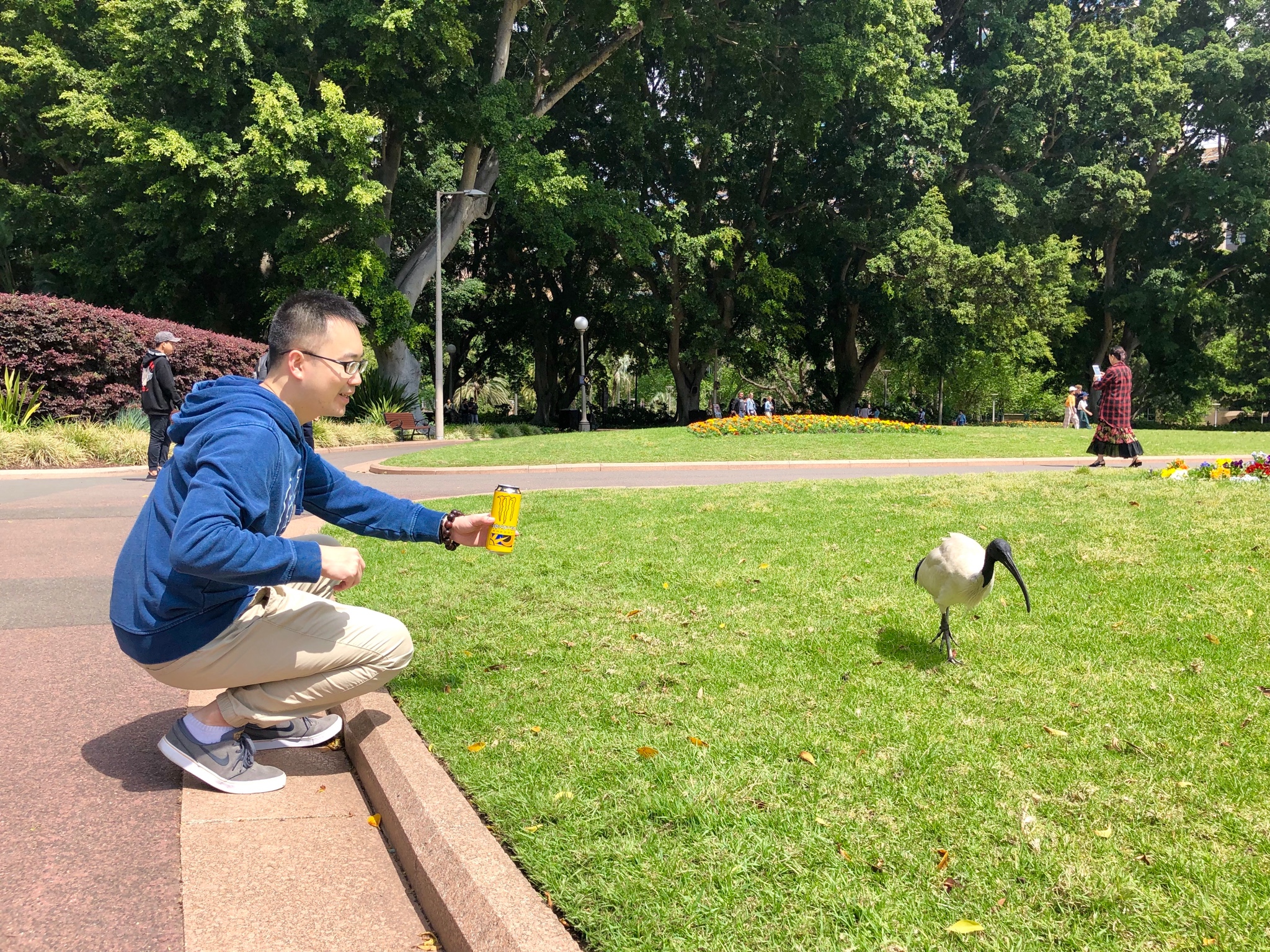 悉尼自助遊攻略