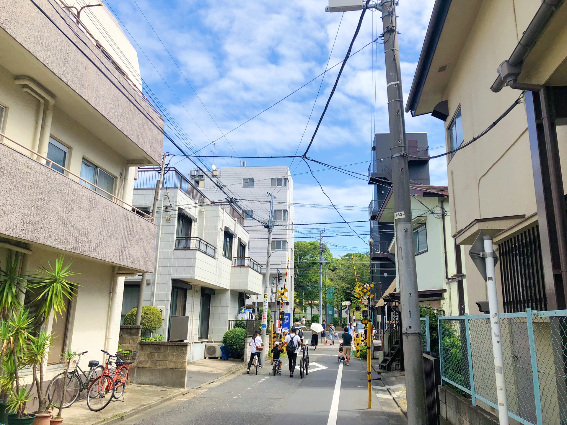 東京自助遊攻略