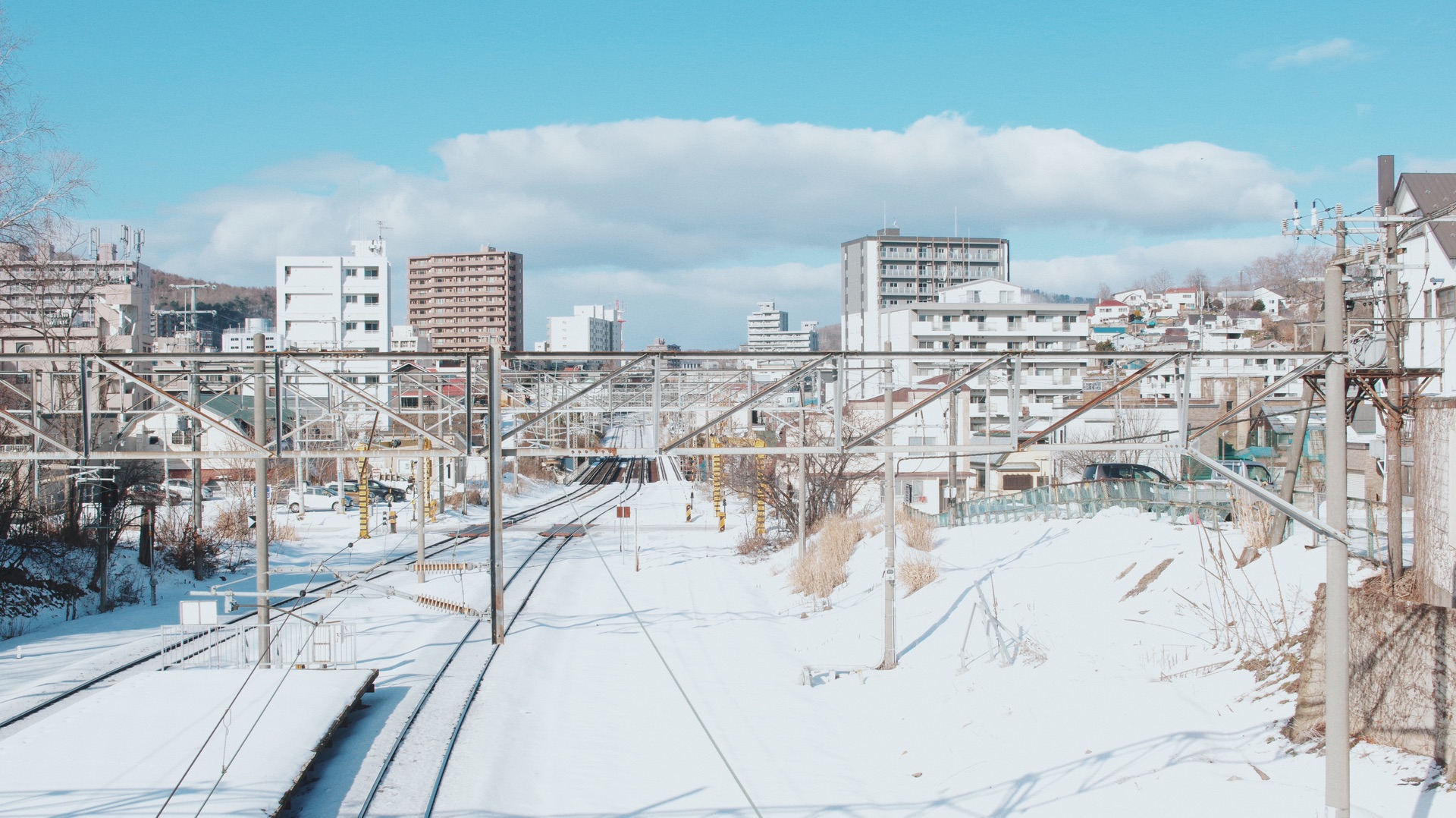 北海道自助遊攻略