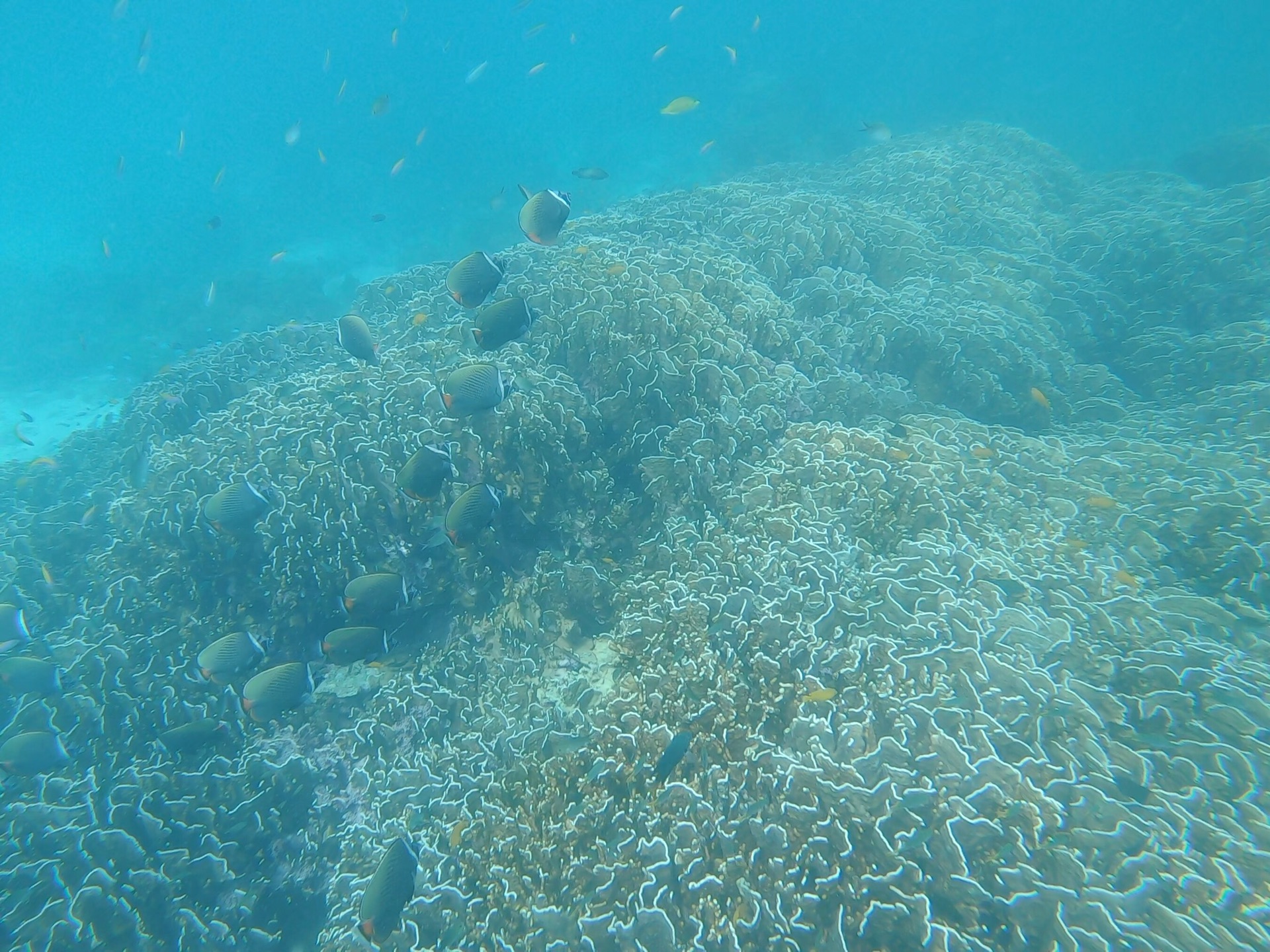 普吉島自助遊攻略