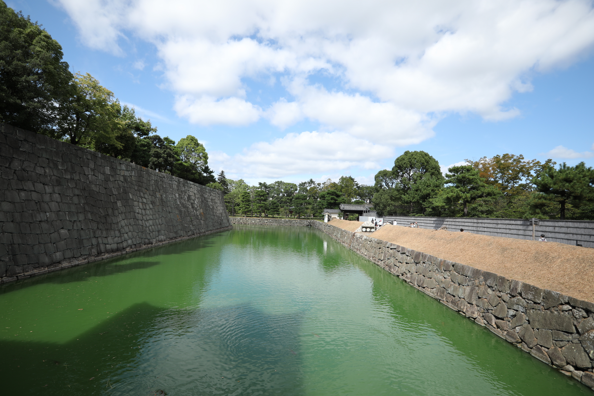 京都自助遊攻略