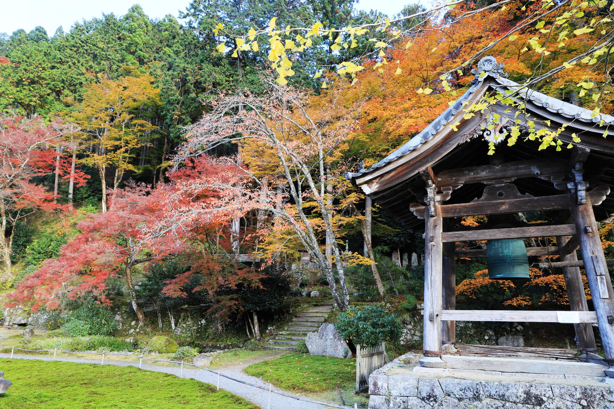 京都自助遊攻略