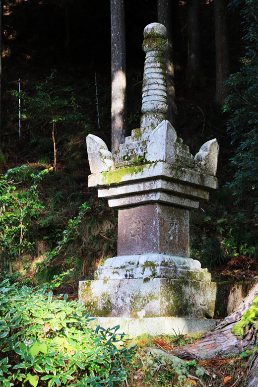 京都自助遊攻略