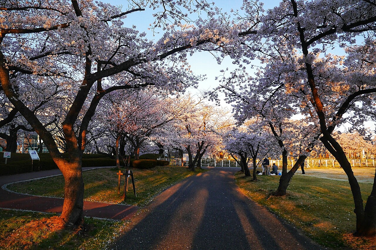 福島市自助遊攻略