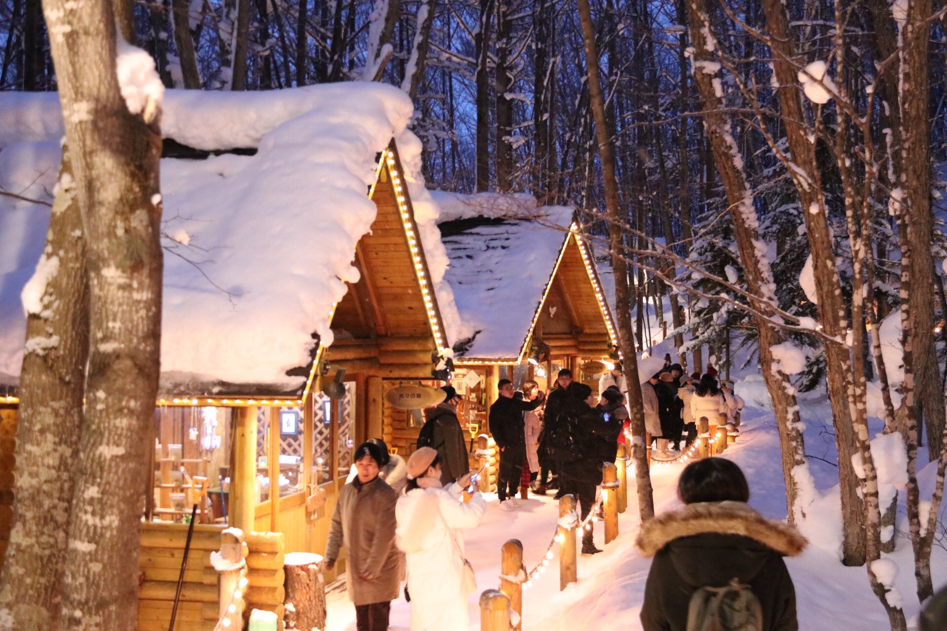 北海道自助遊攻略