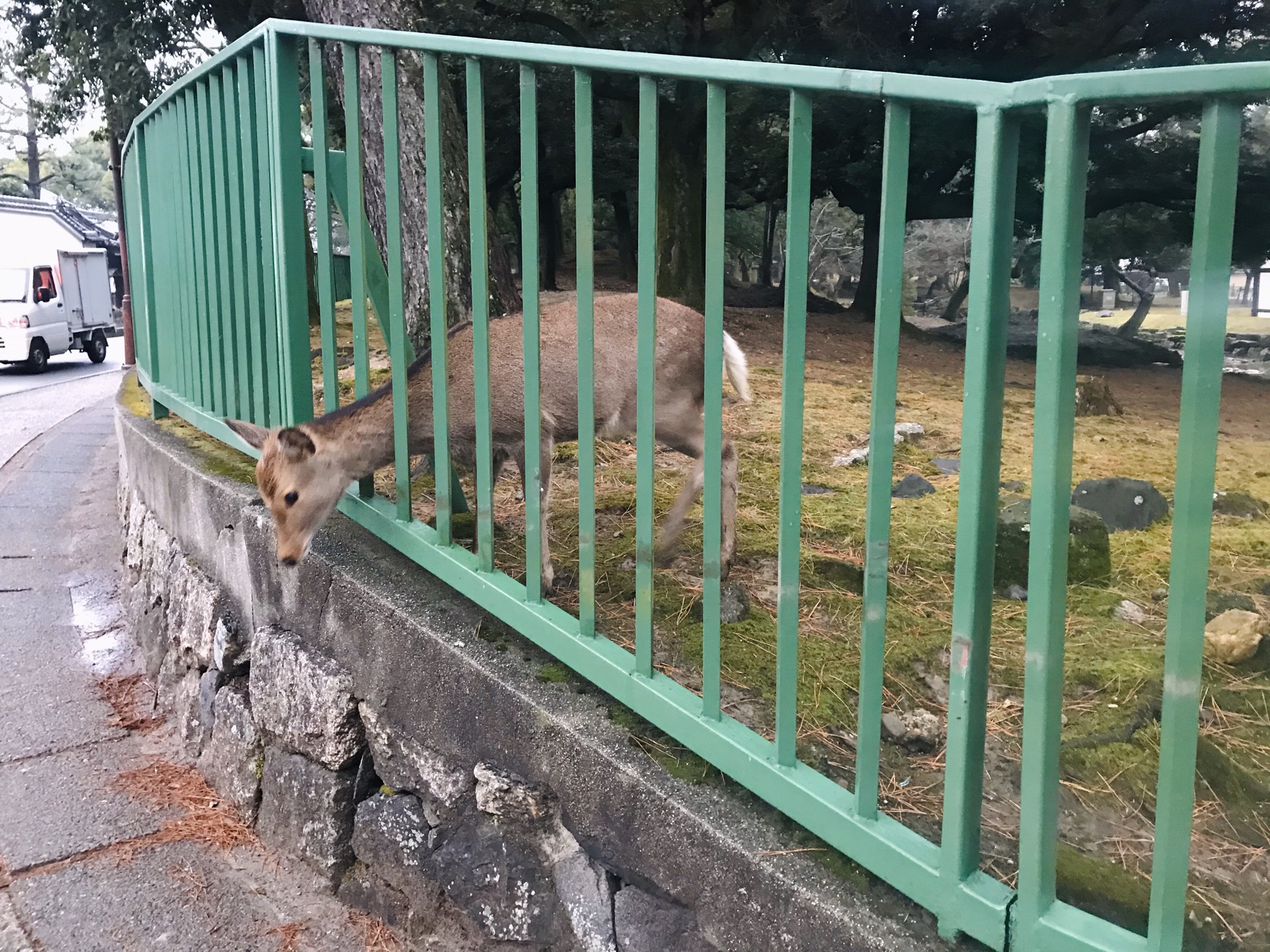 大阪自助遊攻略