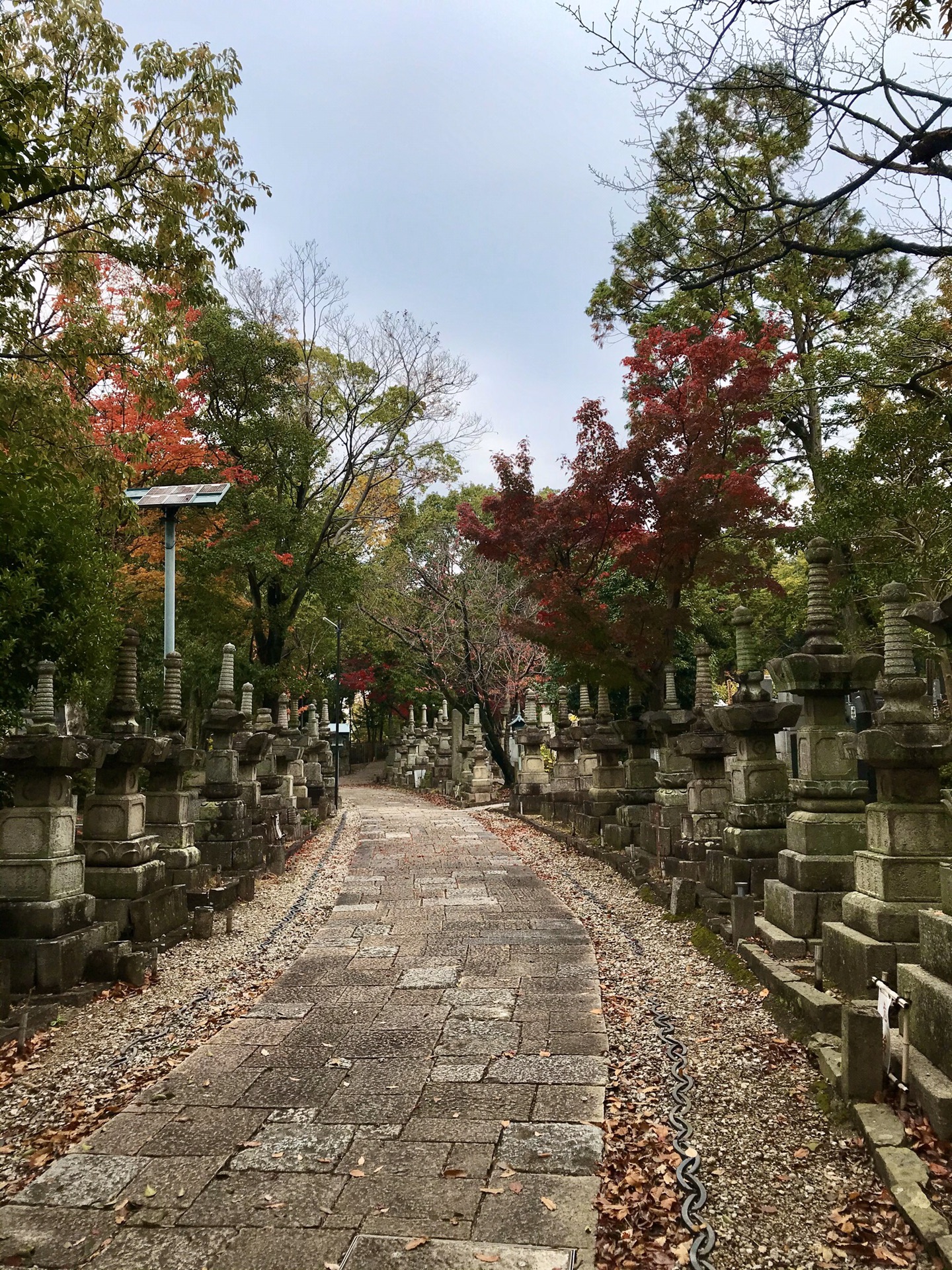 名古屋自助遊攻略