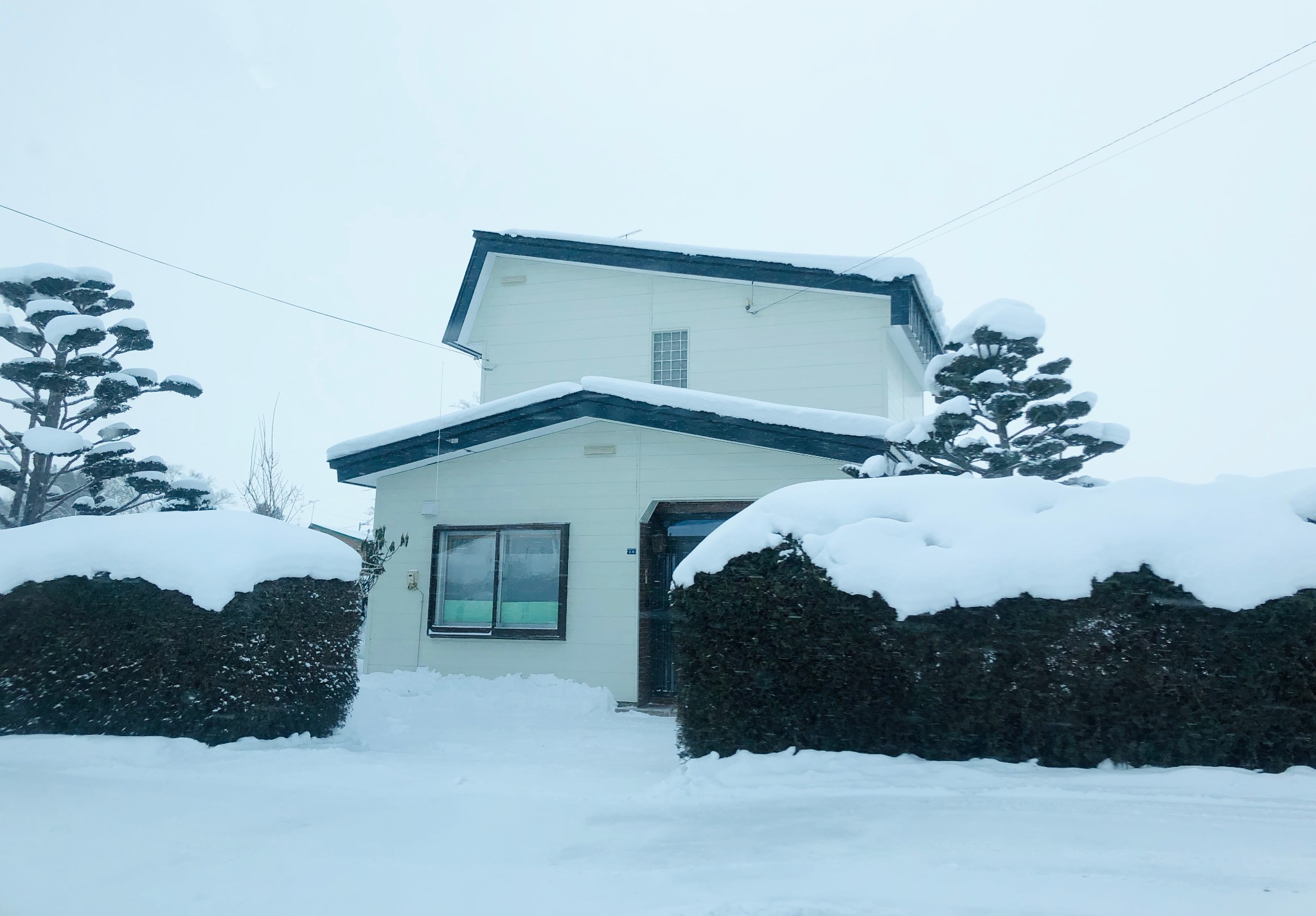 北海道自助遊攻略