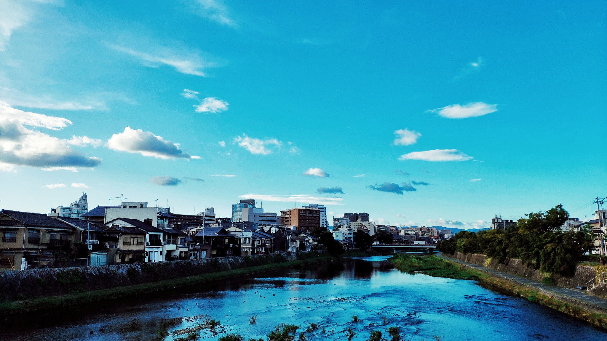 東京自助遊攻略