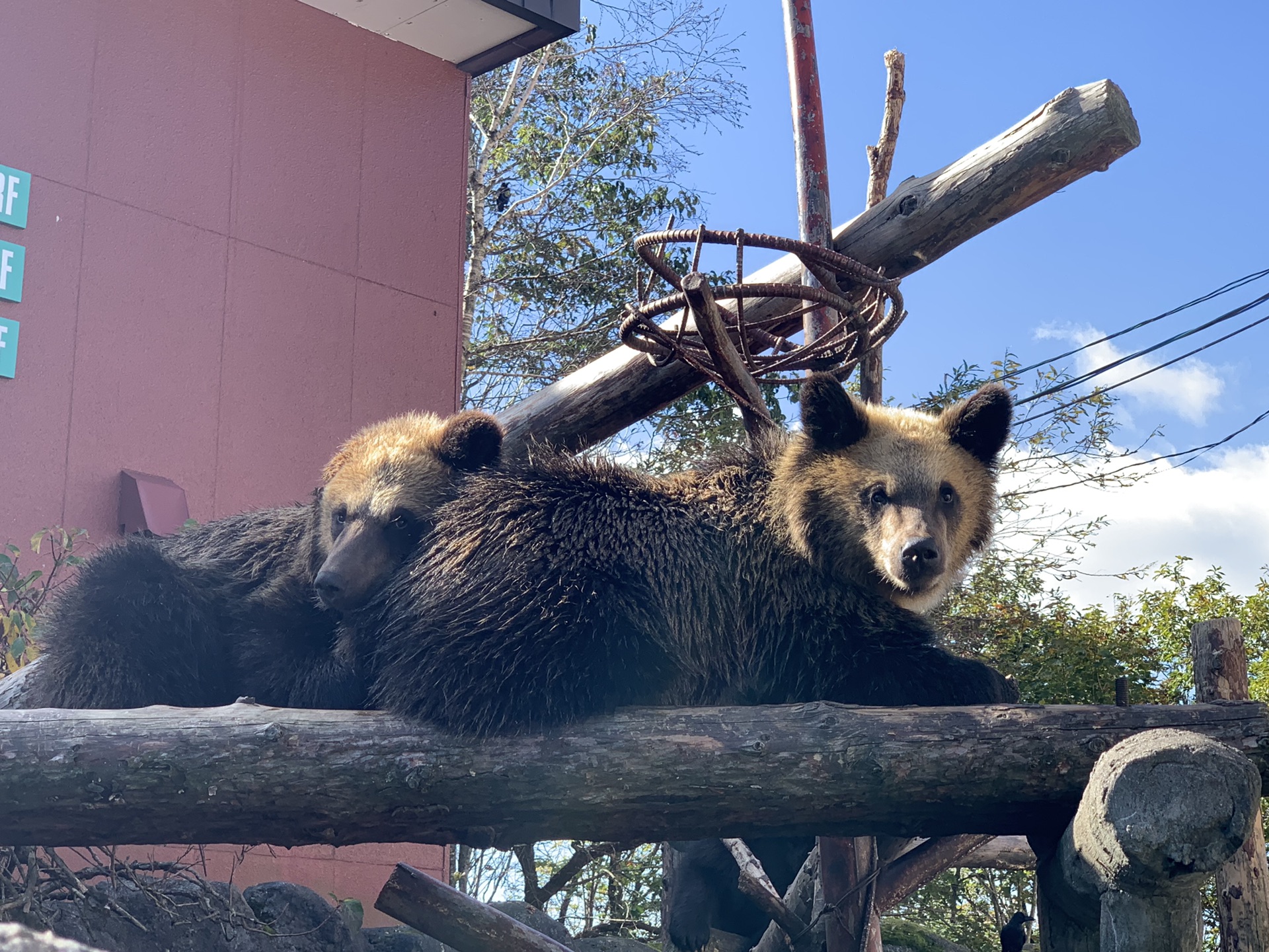 北海道自助遊攻略